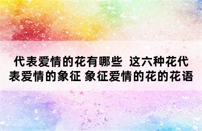 代表爱情的花有哪些  这六种花代表爱情的象征 象征爱情的花的花语